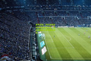 西甲激战，阿拉维斯主场力克维戈塞尔塔，保级关键战上演戏剧性逆转