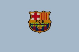 你是哪边的？荷兰裁判庆祝冠军被终身禁哨