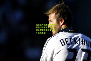 北京东方雄鹿男篮新帅亮相球迷见面会 前新疆队冠军教头执掌帅印开启新篇章