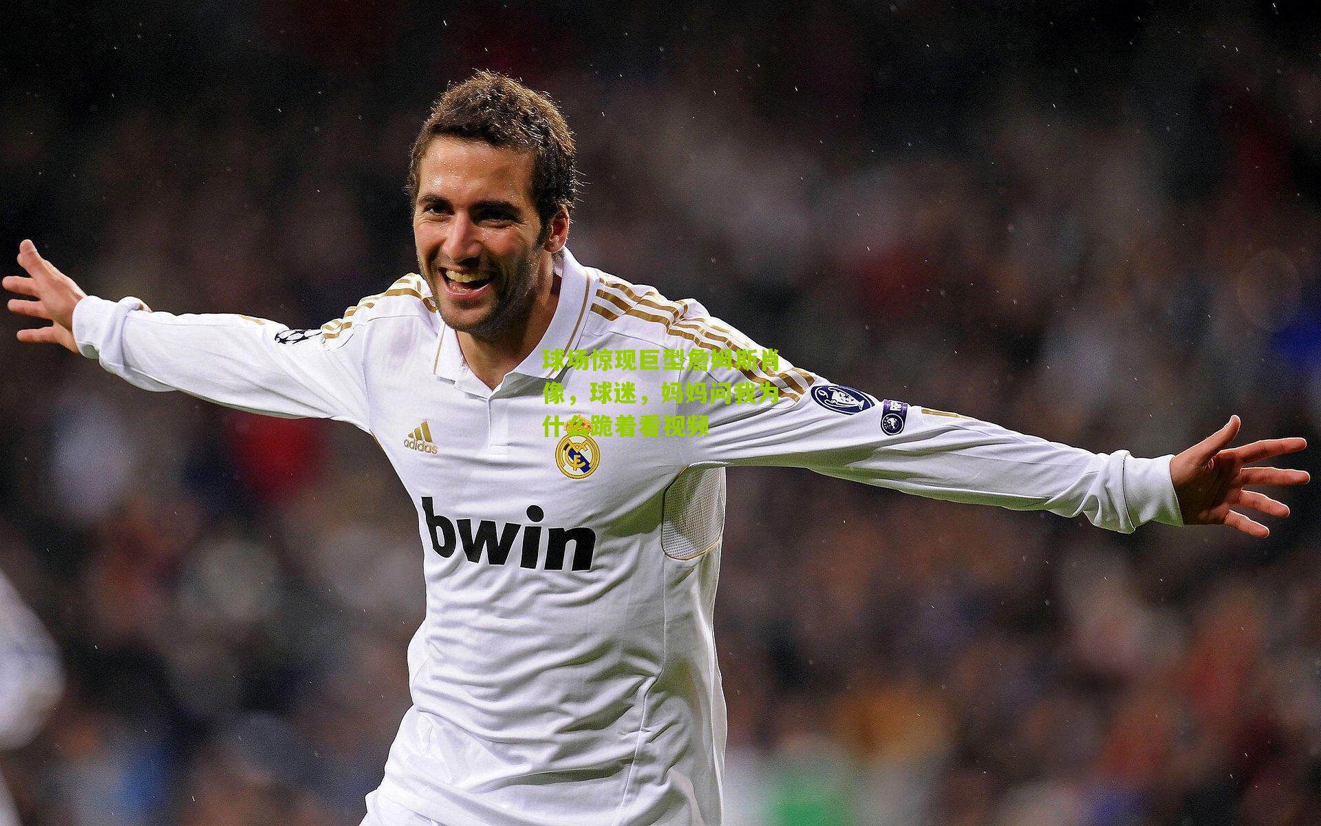 球场惊现巨型詹姆斯肖像,球迷,妈妈问我为什么跪着看视频